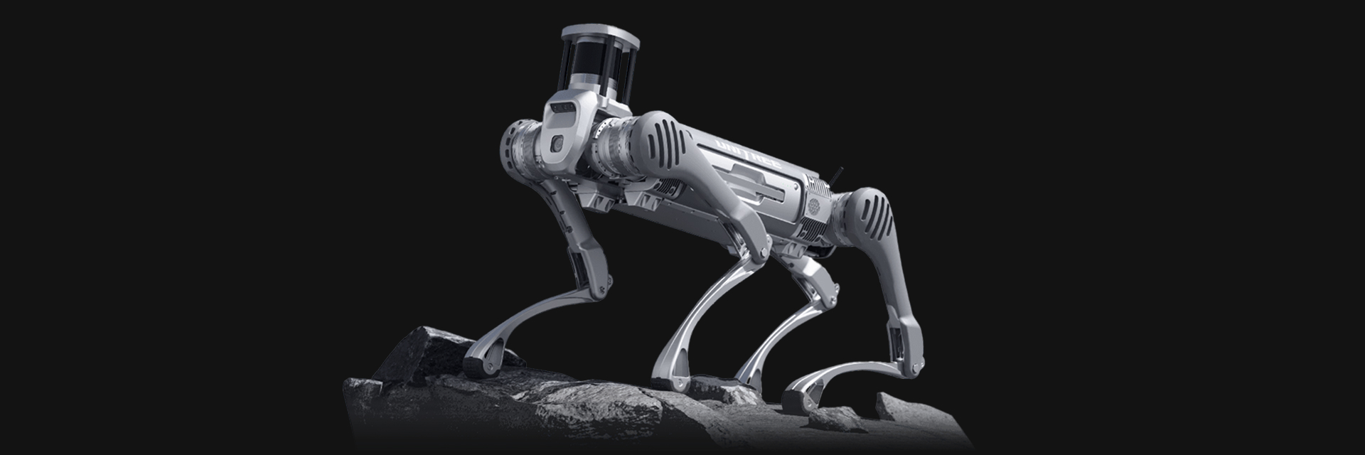 Unitree B2-W, robot kroczący, stojący na szarym tle